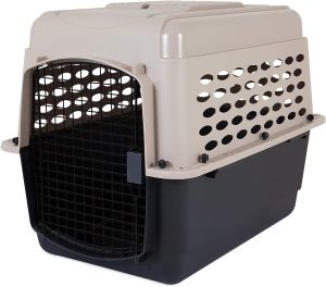 buy dog kennel