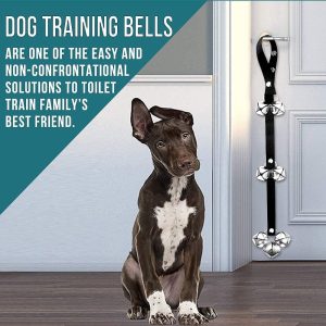 puppy potty training