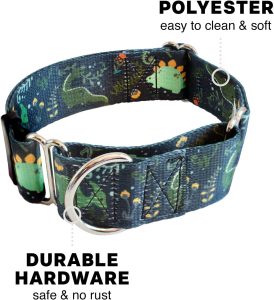 dog training collar