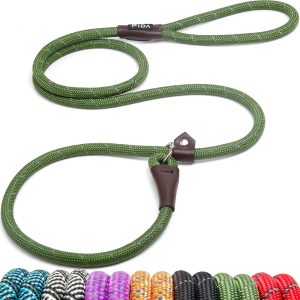 best dog leashes